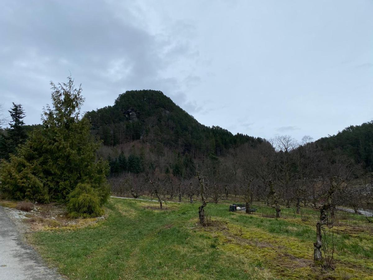 Solvag Fjord Ferie Vila Hjelmeland Exterior foto
